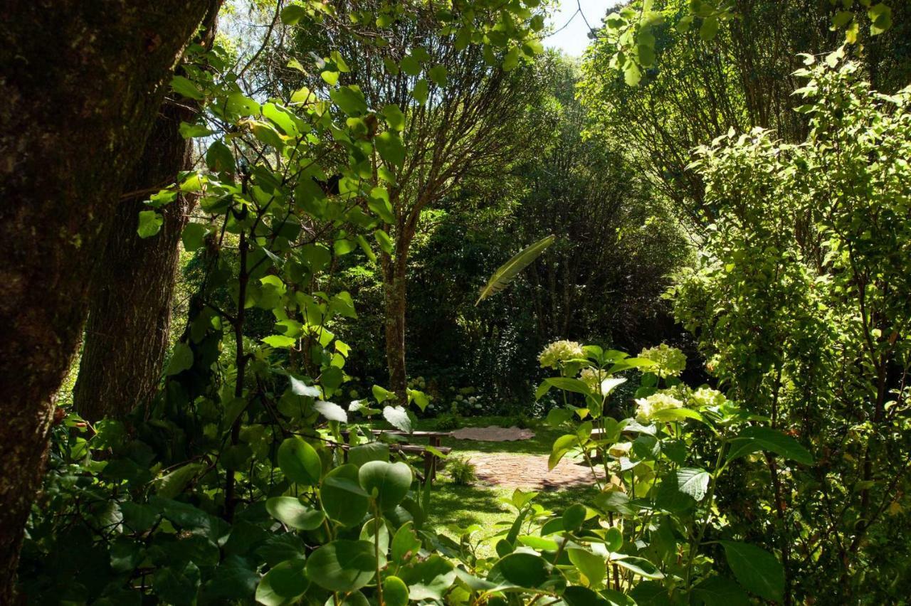 Blythcliffe Bed & Breakfast อาคาโรอา ภายนอก รูปภาพ