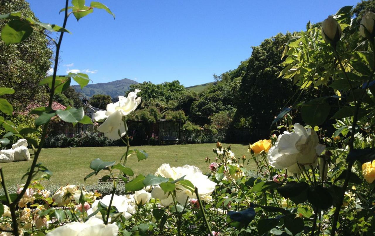 Blythcliffe Bed & Breakfast อาคาโรอา ภายนอก รูปภาพ
