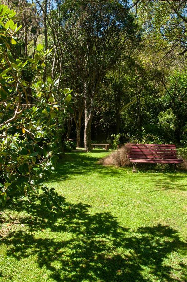 Blythcliffe Bed & Breakfast อาคาโรอา ภายนอก รูปภาพ